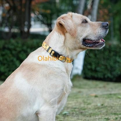 Dog Collar Leash Set, Busy Bee Pattern, 5ft Matching Leash, Polyester Material, 4 for Small Medium Large Dogs.(M, Bee)