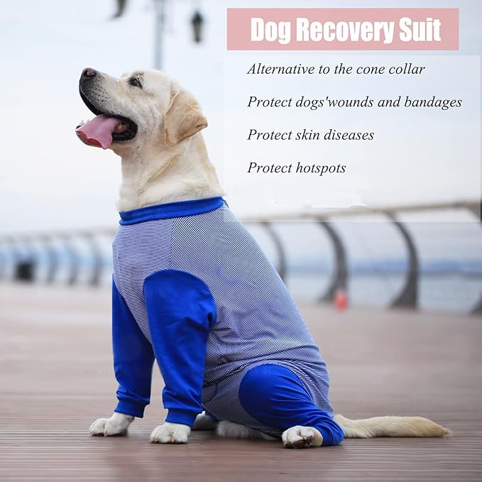 Yeapeeto Dog Onesie Surgery Recovery Suit for Large Medium Bodysuit Dogs Pajamas PJS Full Body for Shedding, Prevent Licking, Wound Protection, Cone Alternative (X-Large, Blue)