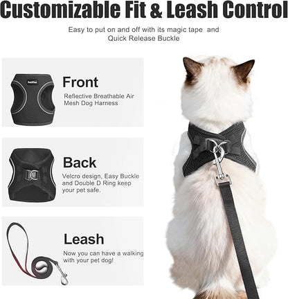 PetiFine Cat Harness and Leash Set,Escape Proof Kitten Harness Reflective,Soft Lightweight Puppy Harness for Walking and Travelling(XXS, Black)