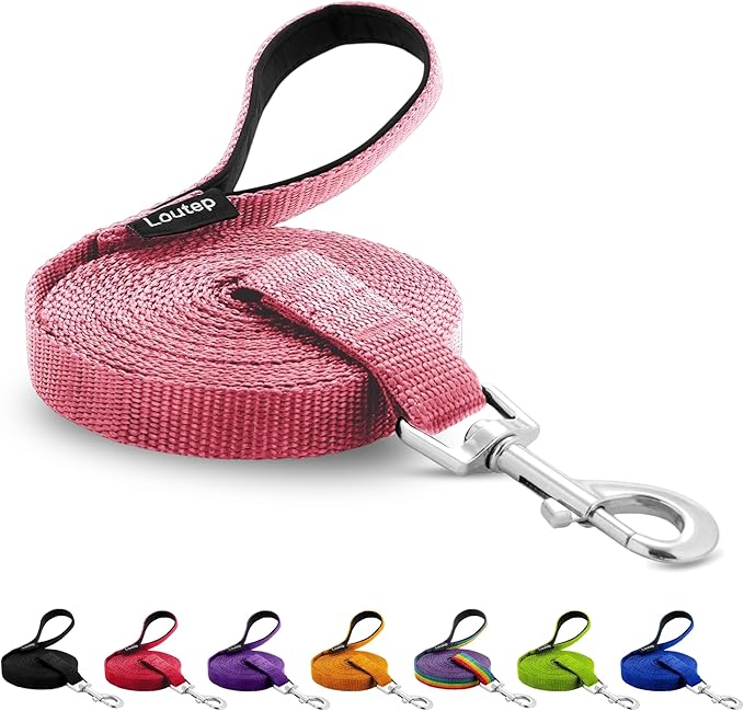 Dog Training Leash - Long Line for Recall & Obedience, Nylon Training Lead with Padded Handle, 15 ft / 20 ft / 30 ft / 50 ft / 100 ft - Long Leash for Dogs Outside, Small/Medium/Large