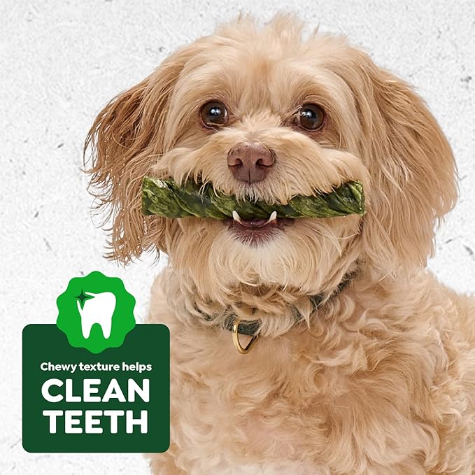 Greenies Occupy Twists Natural Dog Treats Petite Size Dog Chews Long Lasting Chicken Flavor, 17.5 oz. Pack, 20 Count