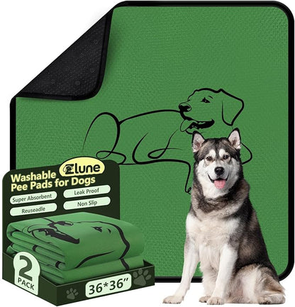 Washable Pee Pads for Dogs Reusable, 2 Pack 36"x36" Training Puppypads Absorbency Non-Slip & Leak-Proof for Pet Whelping Box Playpen Crate Sofa Bed Floors (Green)