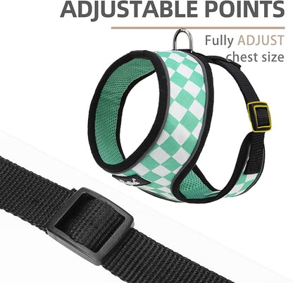 PUPTECK Soft Mesh Dog Harness and Leash Set Pet Puppy Cat Comfort Padded Vest No Pull Harnesses, Checkered Green&White, XS