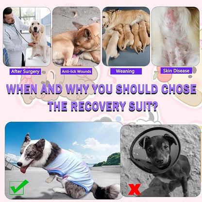 Dog Surgery Recovery Suit, Surgical Recovery Suit for Dog Male Female, Spay Neuter Shirt, Cone Alternative Surgical Onesie, Tie-dye Light Blue, Large