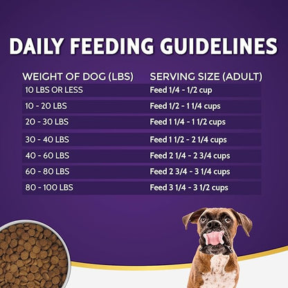 Zignature Turkey Limited Ingredient Formula Dry Dog Food 25lb