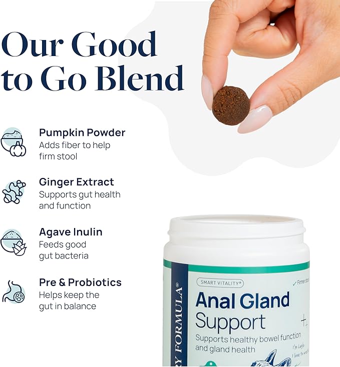 Veterinary Formula Anal Gland Support for Dogs – Vet-Formulated No Scoot Chews with Pumpkin, Ginger, Agave Inulin & Probiotics – Supports Scooting, Stool Quality & Digestive Health, 120 Soft Chews