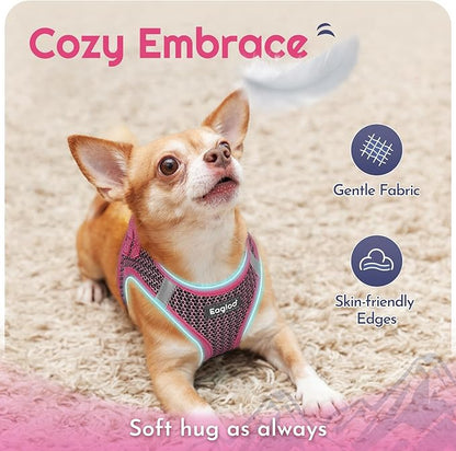 Eagloo Small Dog Harness and Leash Set, Step in Puppy Vest with Breathable Soft Mesh, Walking Reflective Pet Harness for Medium Small Dogs, Rose Red, M