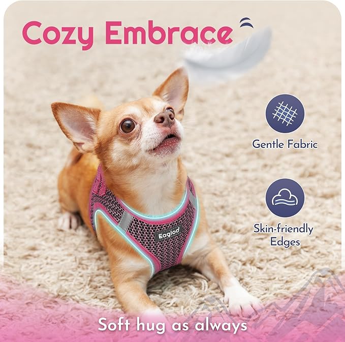 Eagloo Small Dog Harness and Leash Set, Step in Puppy Vest with Breathable Soft Mesh, Walking Reflective Pet Harness for Medium Small Dogs, Rose Red, L
