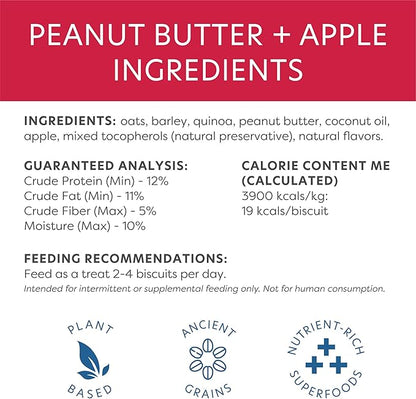Body and Soul Peanut Butter + Apple Crunchy Premium Training Dog Treat Superfood Oven Baked Biscuits Oats Barley & Quinoa, Clean Natural Plant Protein, No Additives No Fillers Made in USA 2Pk (20oz)