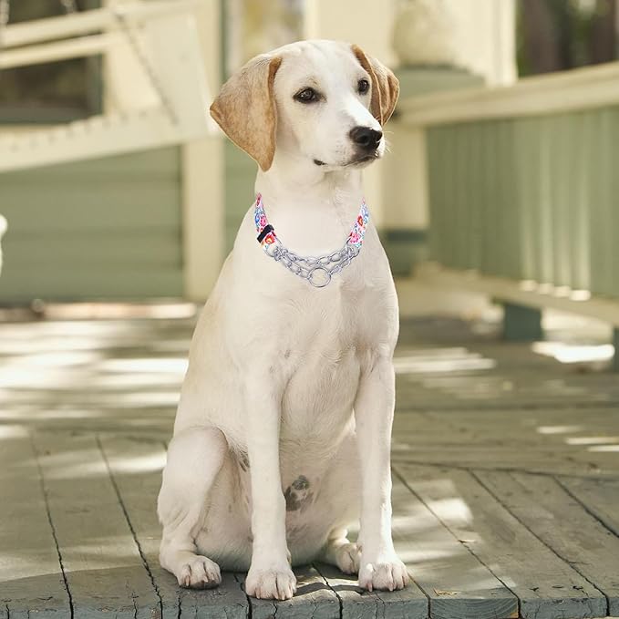 Martingale Dog Collar with Stainless Steel Chain - Limited Chain Cinch Training Collar for No Pull Training Dog - Flower Multicolor Cute Patterns - Premium No Slip Collar (L, White)