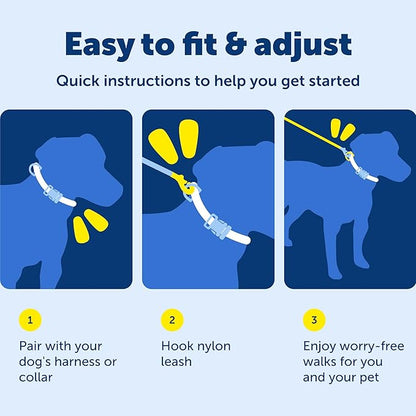 PetSafe Nylon Leash - Strong Nylon for Everyday Walks - Durable Pet Leash with Quick Attach Clip - Comfortable Soft Grip - 4 Feet - Raspberry Pink