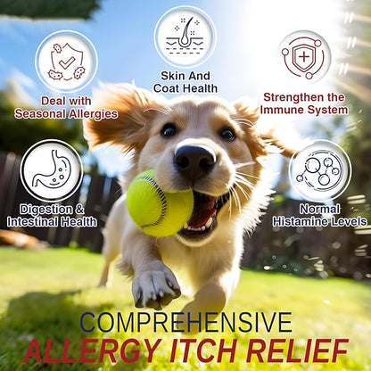 Allergy Relief Chews for Dogs 200 Treats Dog Seasonal Allergy and Immune Bites Dog Itching Skin Anti Itch Licking Paws Treatment Itchy Skin Relief Allergies Support Probiotic Chew Supplement for Dogs