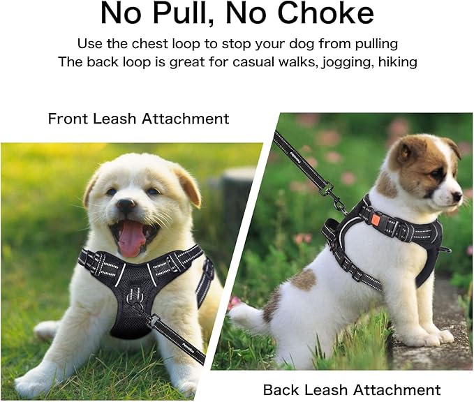 Petmolico No Pull Dog Harness and Leash Set, No Choke 4 Leash Attchments Easy Control Handle Soft Padded Reflective Vest Dog Harness for Medium Dog Breed, Sky Blue Medium