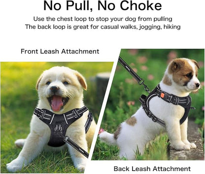 Petmolico No Pull Dog Harness and Leash Set, No Choke 4 Leash Attchments Easy Control Handle Soft Padded Reflective Vest Dog Harness for Medium Dog Breed, Sky Blue Medium