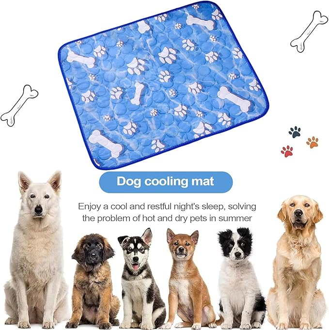 Puppy Pads with Pheromones, Training Pads for Dogs with 3 Random Color Bell Balls, Washable Pee Pads for Dogs, Reusable Puppy Pads with Pheromones, 40 x 30 cm Blue Pet Mat