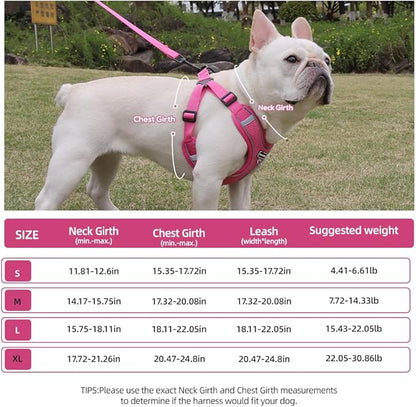 Dog Harness and Leash Set, Adjustable Triangle, Reflective Adjustable Puppy Vest, No Pull Soft Mesh Harness for Small, Medium Dogs, Cats (Black, XL)