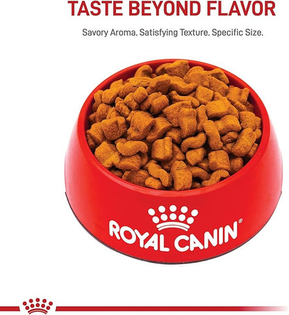 Royal Canin Breed Health Nutrition Boxer Adult Dry Dog Food, 30 lb Bag