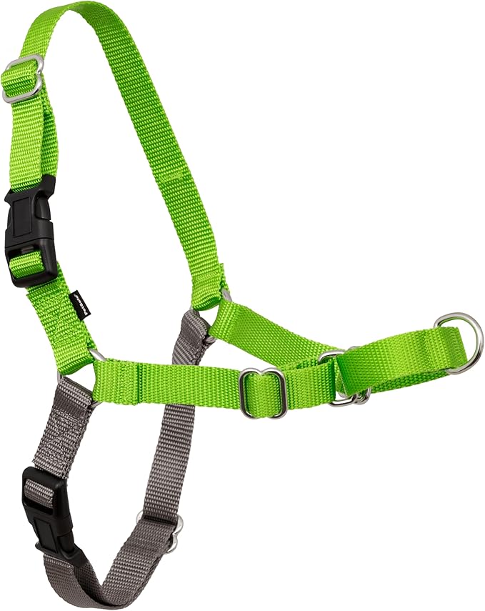 PetSafe Easy Walk Harness for Dogs - Pull-Free Walks - Patented Martingale Loop Design - Front Chest Leash Attachment - Comfort Straps - Breathable Harness Design - Small, Apple Green/Gray