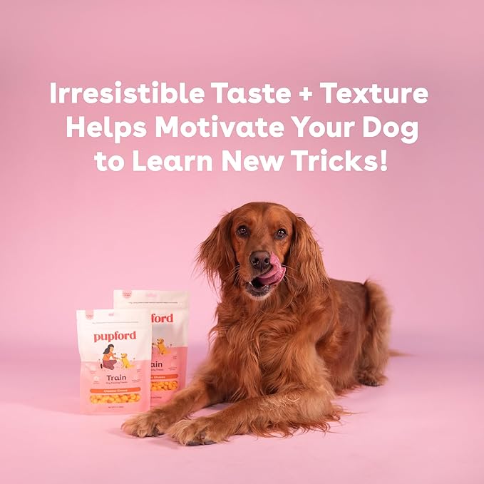 Pupford Training Treats for Dogs & Puppies, 400+ Single Ingredient Bites (Cheddar, 5 oz)