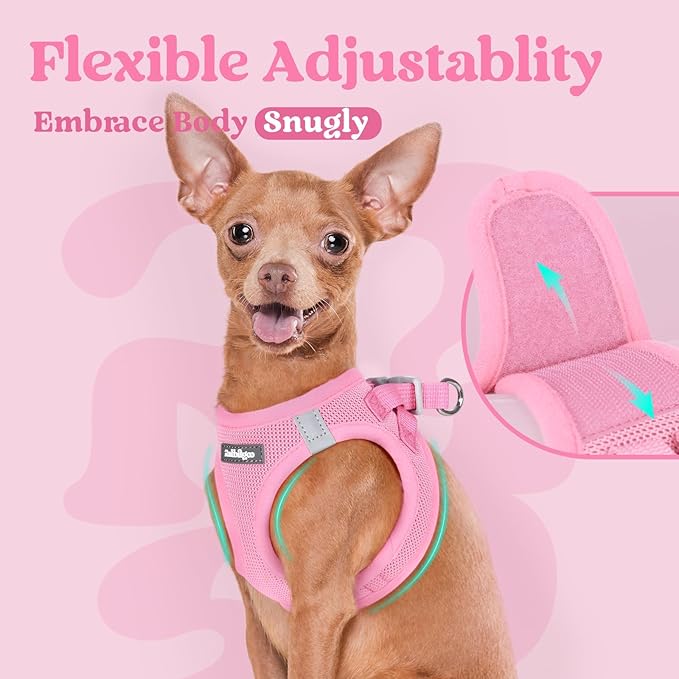 rabbitgoo Small Dog Harness, Step-in Soft Mesh Puppy Vest with Safety Buckle, Breathable Reflective Pet Harness for Small Sized Dogs, Light Pink S