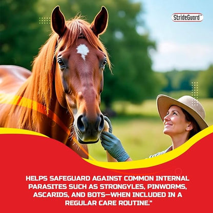 Horse Ivermectin Paste 1.87% – Apple Flavored Oral Horse Dewormer Syringe – 6.08g Tube Treats Horses Up to 1250 LB [Pack-12]
