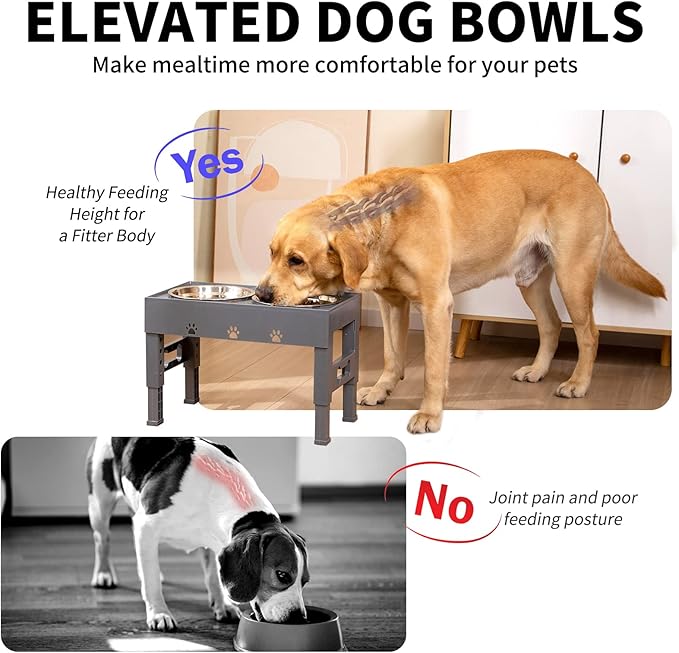 Elevated Dog Bowls with 2 Stainless Steel Bowls, 5-Height Adjustable Stand (3.1", 9" to 12"), for Improved Digestion & Neck Support, Easy Clean, Non-Slip Base Raised Feeder for Medium Large Dogs
