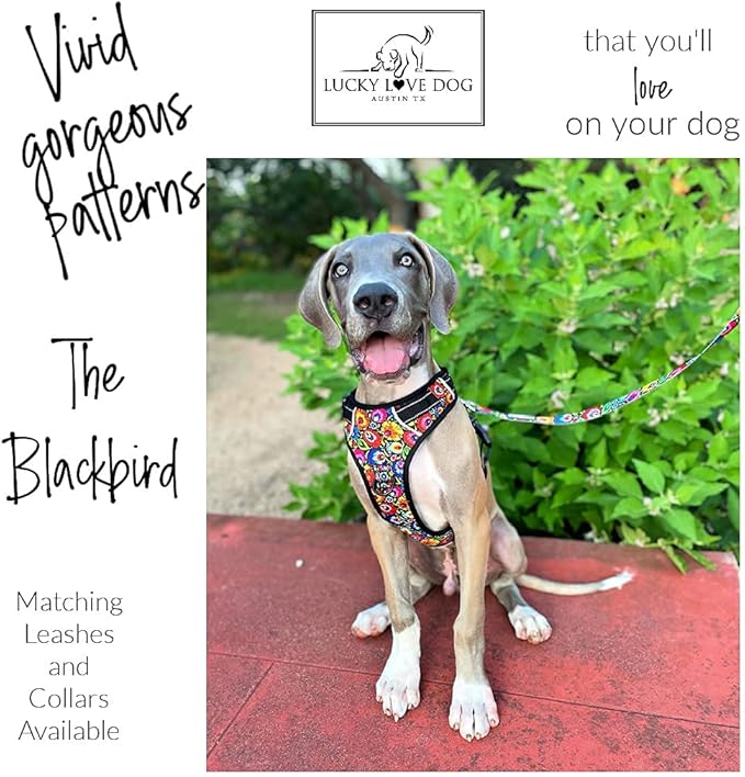 Lucky Love Dog No Pull Dog Harness, Adjustable and Easy to Walk, Cute Patterned Harness for Large Male & Female Dogs - Blackbird, Large