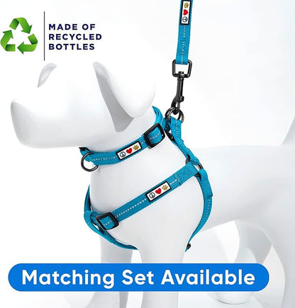 Pawtitas Recycled Reflective Step-in Dog Harness – Adjustable No-Pull Vest for Puppies to Seniors, Safe & Comfortable XS Teal