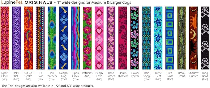 Lupine Dog Leash 4-Foot by 1" Wide PetuniasÊ