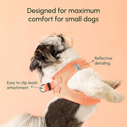 Downtown Pet Supply Step in Dog Harness for Large Dogs - Adjustable, Escape Proof Dog Harness with Reflective Trim - All-Weather, Fast-Drying Padded Mesh Fabric - Tangerine, Medium