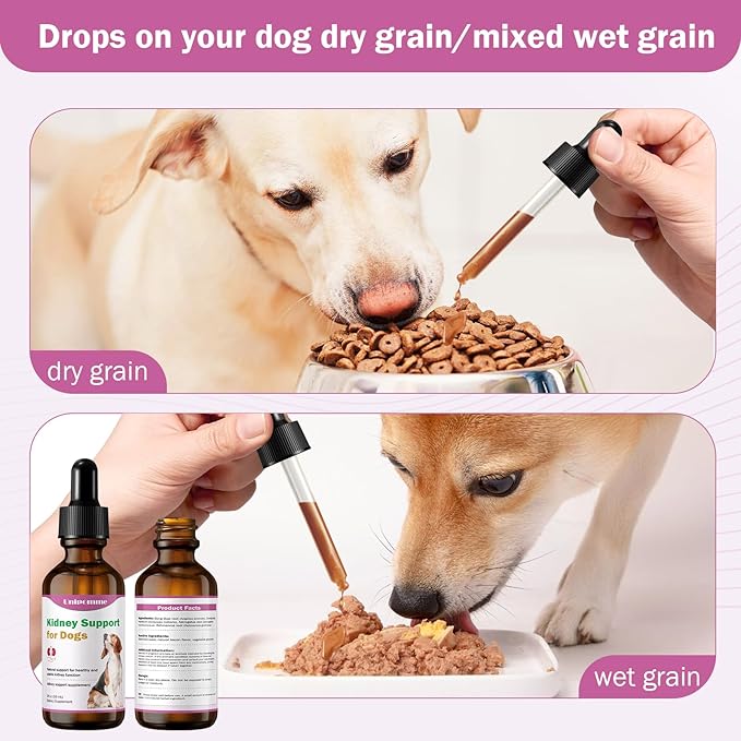 Kidney Support Supplement for Dogs - Supports Kidney Function Health in Dog - Natural Herbal Drops 2 oz - Improve Blood in Urine, Lack of Appetite, Weight Loss, Excessive Drinking, Lethargy, Dull Coat