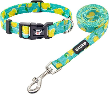 azuza Dog Collar and Leash Set, Lemon Patterns on Blue Nylon Collar and Matching 6ft Leash, Adjustable for Small Dogs
