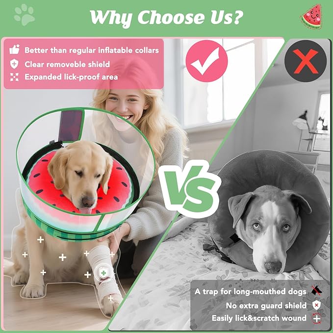 Inflatable Dog Cone with Anti-Licking Clear Shield, Protective Dog Donut Collar After Surgery, Adjustable Soft Recovery Cone for Pets, Alternative Collar with Buckle Strap (Watermelon, M+)