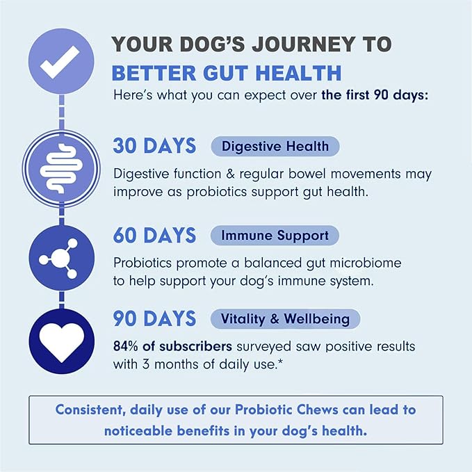 MARIMER Probiotic Chews for Dogs – 6 Billion CFU Probiotics with Enzymes, Organic Pumpkin & Inulin – Digestive & Immune Support Soft Chews – Chicken Flavor – 100 Count – for Dogs