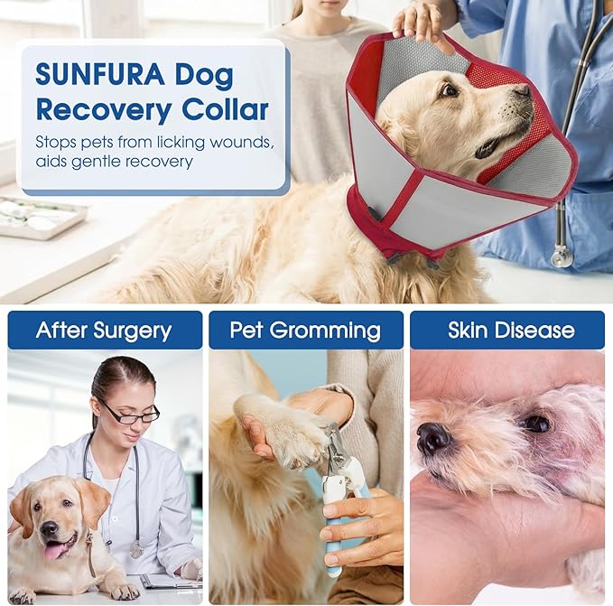 Cone for Dogs to Stop Licking - Soft Dog Cone with Double-Layer Design, Small Dog Cones Collar Alternative, Adjustable Pet Recovery Collar for Dogs After Surgery, Red S