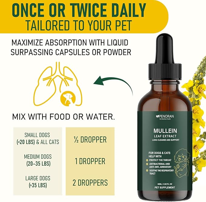 Cough Relief Mullein Drops for Dogs & Cats, Kennel/Dry/Wet Cough, Hoarseness, Seasonal coughing, Easy Breathing, Lung Cleanse, Better Lungs, Soothes Throat - Natural & Efficient ﻿ ﻿ ﻿