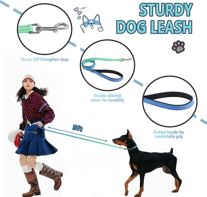 Roses&Poetry Bluegreen Large Dog Collar and Leash Set, Puppy Reflective Leashes with Collars, Adjustable Durable Matching Collar Leash for Large Dogs Girl (Bluegreen-L)