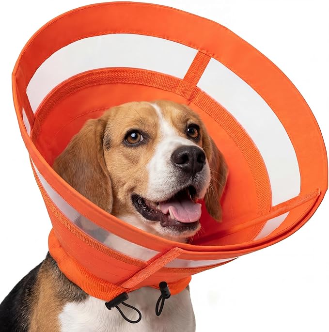ASENKU Dog Cone Collar, Protective Recovery Dog Collar After Surgery, Comfy Adjustable Cone for Dogs to Stop Licking, Pet E-Collar for Small, Medium & Large Dogs(Orange, S)