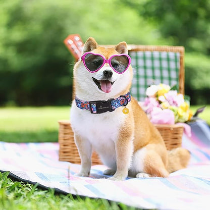 ARING PET Floral Dog Collar, Cute Blue Pink Orange Spring Summer Flower Doggy Pet Collars for Puppy Small Medium Large Girl Female Dogs-L