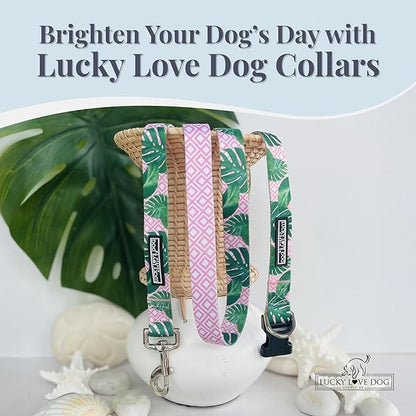 Lucky Love Dog Collars | Girl, boy Dog Collar for Small Medium Large Dogs - Comfortable, Soft, Cute - Laguna, Medium