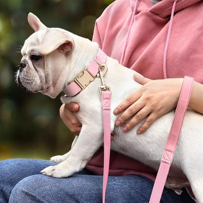 PET ARTIST Soft PU Leather Dog Collar and Leash Set, Bright & Stylish 5FT PU Leather Leash and Collar Set, Durable Pet Collars with Quick Release Metal Buckle for Medium Dogs,Pink,M(13-19")
