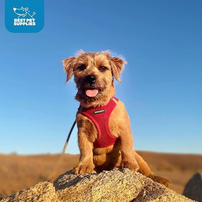 Best Pet Supplies Voyager Step-in Air Harness - All Weather Mesh, Reflective, No Pull Harness for Dogs, Cats - Secure with Hook & Loop Fastener, Buckle, Double D-Rings - Red, M