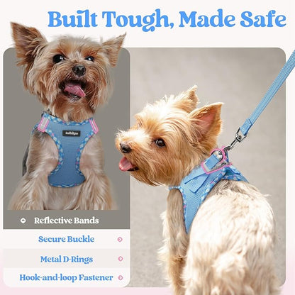 rabbitgoo Dog Harness Small Sized and Leash Set, Step in Soft Light Puppy Vest, Breathable Mesh Pet Harness, Reflective for Safe Easy Walking, Blue & Plaid Trim XS