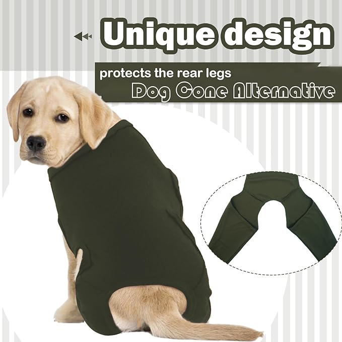 ROZKITCH Back Leg for Dogs Rear Leg Rear Legs, Pet Sleeve to Prevent Licking Wound Elbow Protector, Long Sleeve Dog Surgery Recovery Suit for Sprain ACL CCL Arthritis Joint Care Green M