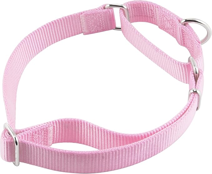 Hyhug Martingale Dog Collar Medium Pink |Escape - Proof Heavy Duty Nylon Durable No Slip, Ideal for Training & Daily Walks