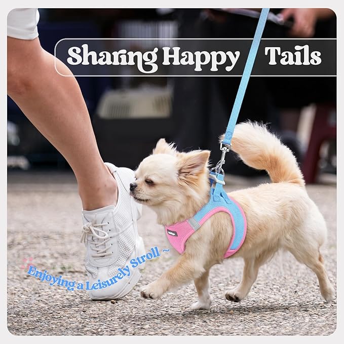 rabbitgoo Dog Harness Small Medium Sized and Leash Set, Step in Soft Light Puppy Vest, Breathable Mesh Pet Harness, Reflective for Safe Easy Walking, Blue & Light Pink XL