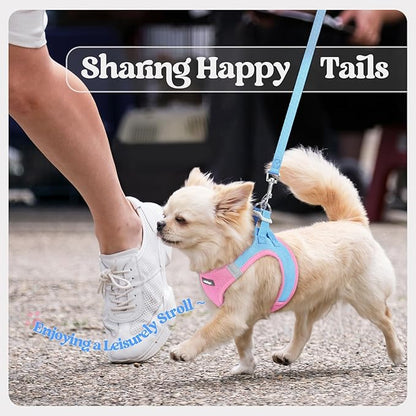 rabbitgoo Dog Harness Small Medium Sized and Leash Set, Step in Soft Light Puppy Vest, Breathable Mesh Pet Harness, Reflective for Safe Easy Walking, Blue & Light Pink L