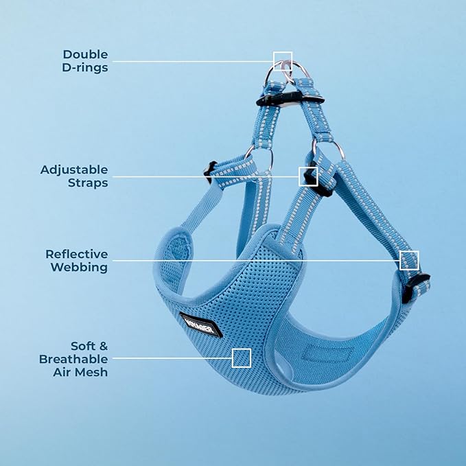 Best Pet Supplies Voyager Adjustable Step-In Flex Breathable Mesh Dog Harness for Small Medium Large Dogs (Baby Blue), L