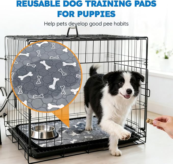 2 Pack Washable Pee Pads for Dogs, Absorbent Reusable Puppy Training Pads, Leakproof, Non-Slip, Waterproof Cat Doggie Pad Pet Potty Mat for Indoor&Outdoor, Whelping, Crate, Gray 20"x28"