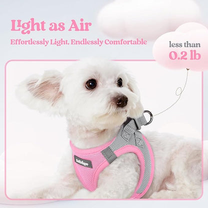 rabbitgoo Dog Harness Small Sized and Leash Set, Step in Soft Light Puppy Vest, Breathable Mesh Pet Harness, Reflective for Safe Easy Walking, Pink & Gray S